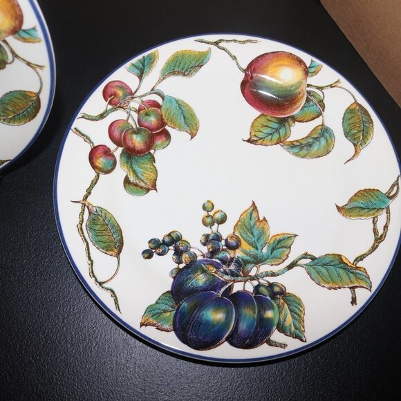 Pier 1 MacIntosh dinner plates 10 inches across lot of 2 beautiful condition - Picture 2 of 4